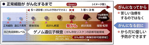 正常細胞ががん化するまで